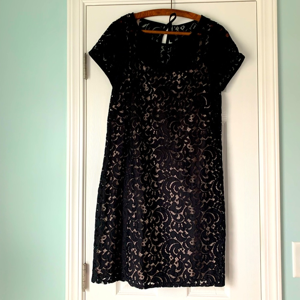Loft lace dress